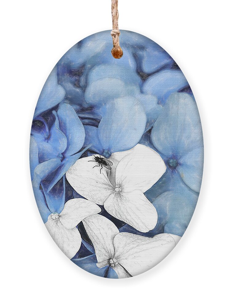 New England Ornament featuring the digital art Country Fly Blue Hydrangea Watercolor by Tanya Owens