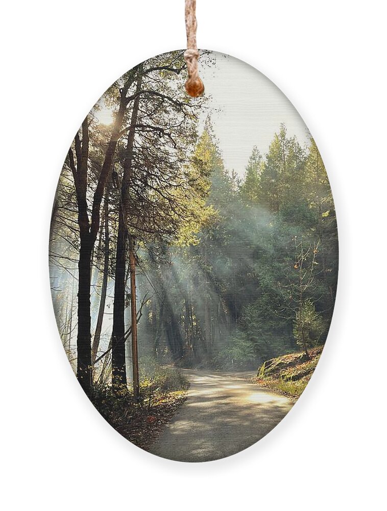 Photograph Ornament featuring the photograph Country Lane Leading Into Autumn by Beverly Read