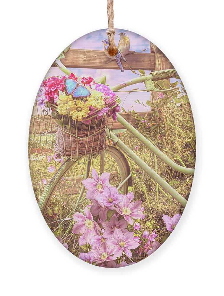Birds Ornament featuring the photograph Country Summer Breeze on a Bicycle by Debra and Dave Vanderlaan