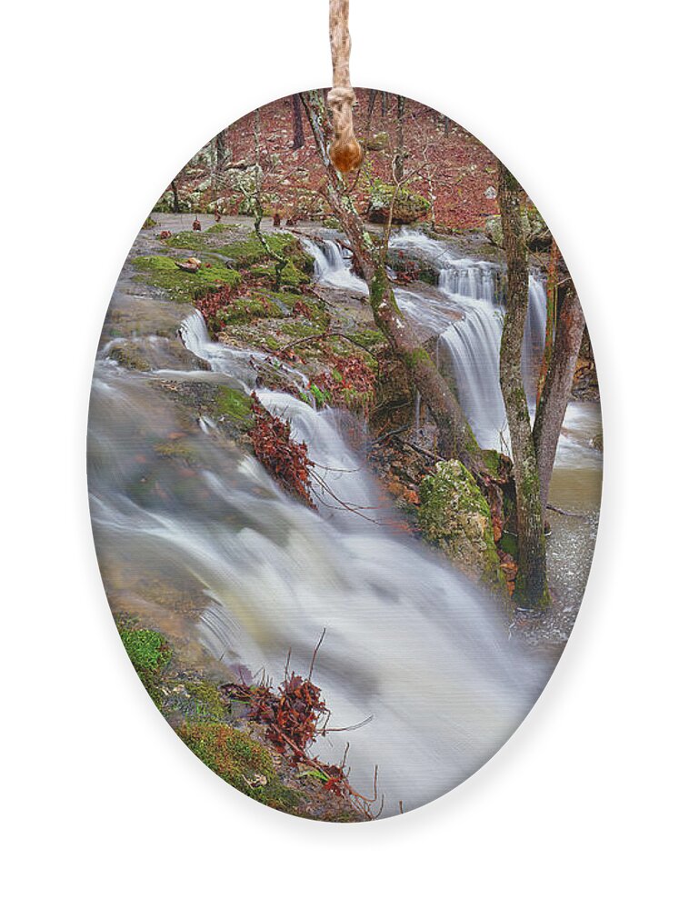 Waterfall Ornament featuring the photograph Coward's Hollow Shut-ins I by Robert Charity