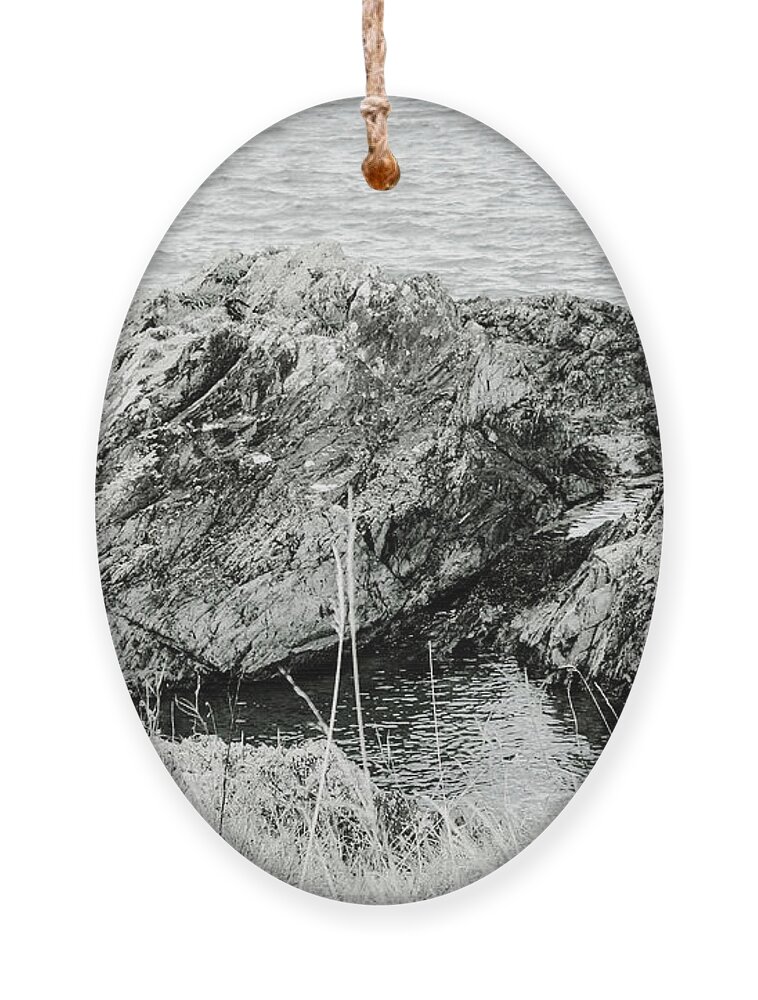 Rocky Coastline Ornament featuring the photograph Crawfordsburn Coastal Textures bw by Eddie Barron