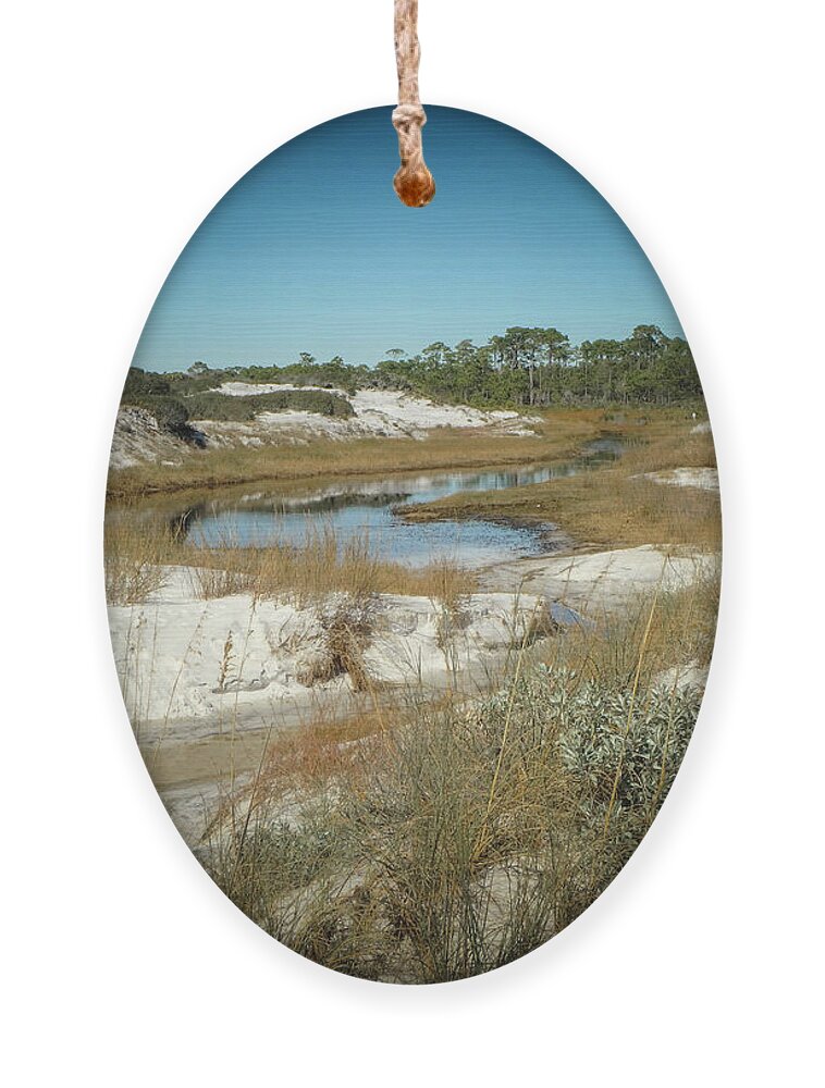Florida Ornament featuring the photograph Created by Nature by Judy Hall-Folde