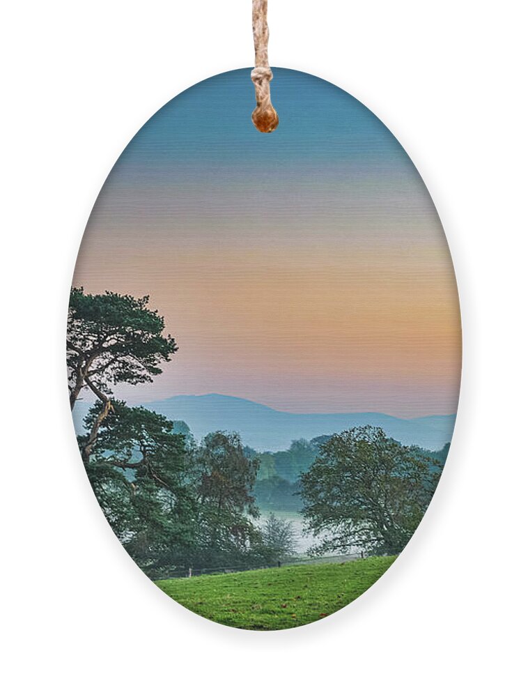 Moon Ornament featuring the photograph Crescent Moon by Rob Hemphill