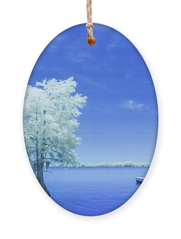 2022 Ornament featuring the photograph Cypress at Elliott's Landing-Infrared by Charles Hite