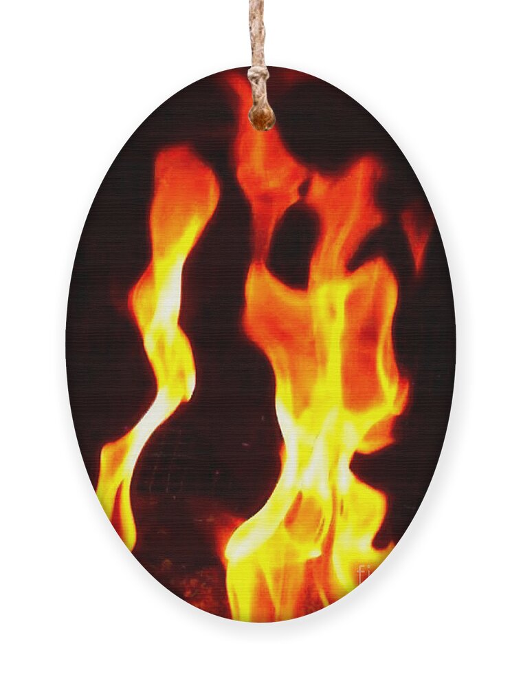 Newby Ornament featuring the photograph Dancing Fire by Cindy's Creative Corner