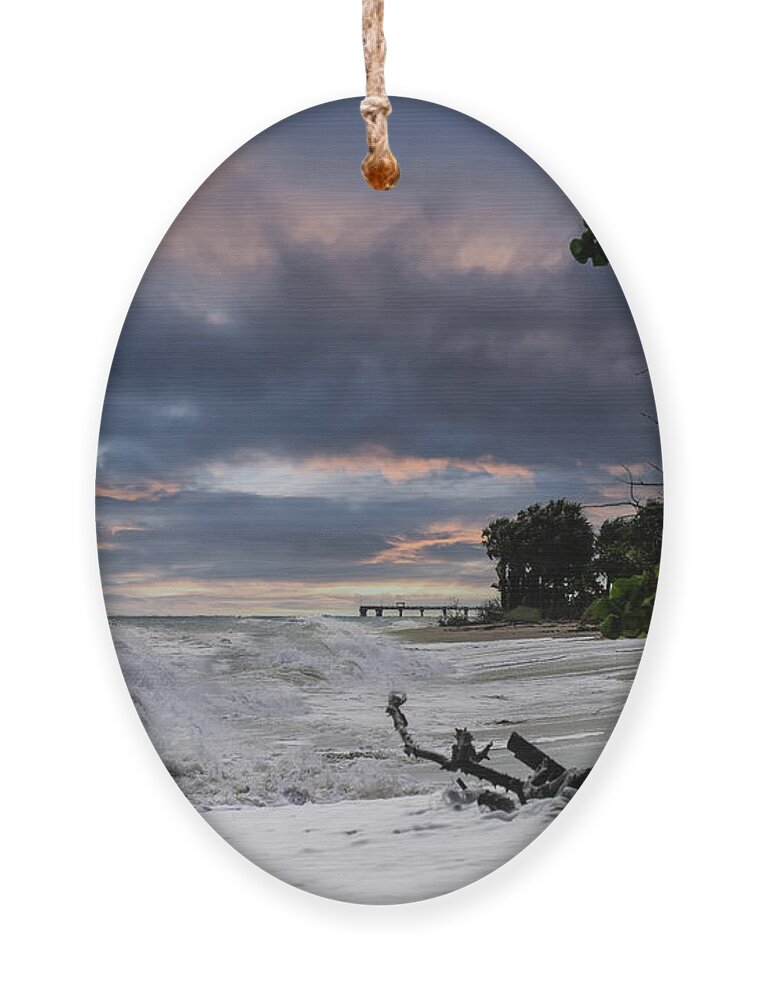Dania Beach Pier Ornament featuring the photograph Dania Beach Pier by Ed Taylor