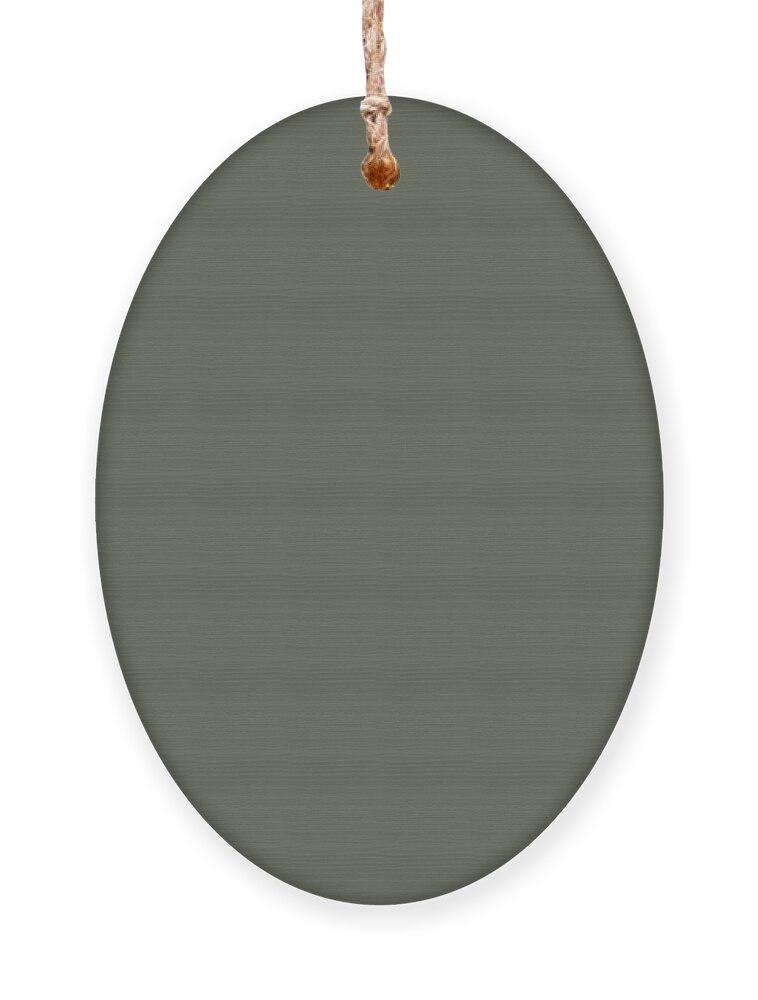 Dark Ornament featuring the digital art Dark Gray Green Match with Egg Design by Delynn Addams