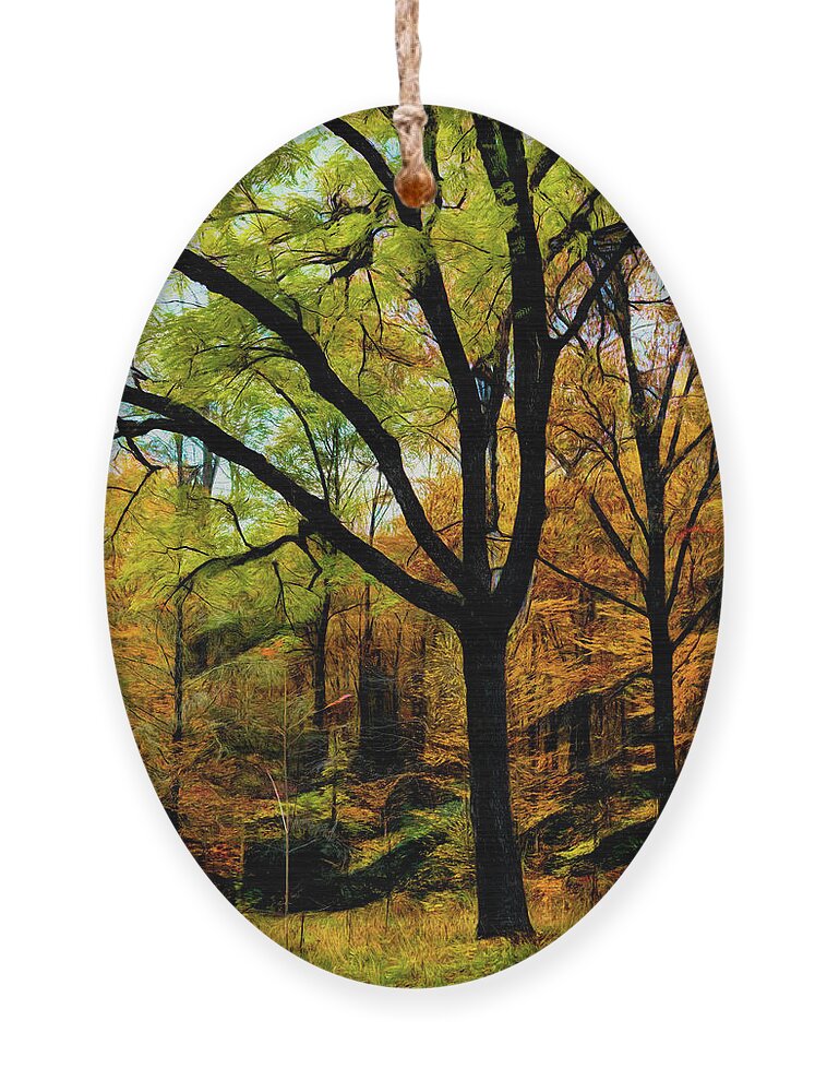 Carolina Ornament featuring the photograph Dark Trees in the Forest Abstract Painting by Debra and Dave Vanderlaan