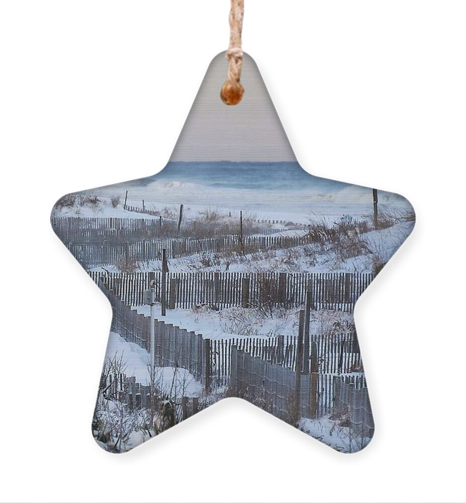 Snow Ornament featuring the photograph Day After the Blizzard by Kim Bemis