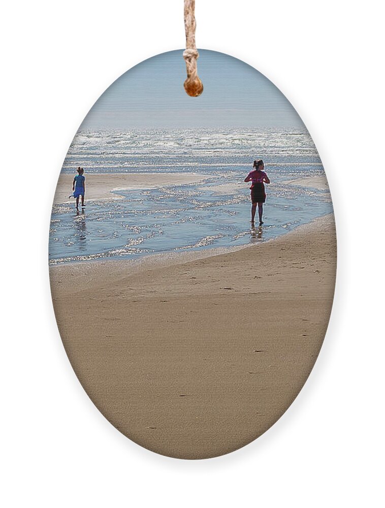 Beach Ornament featuring the photograph Day at the Beach by Craig J Satterlee