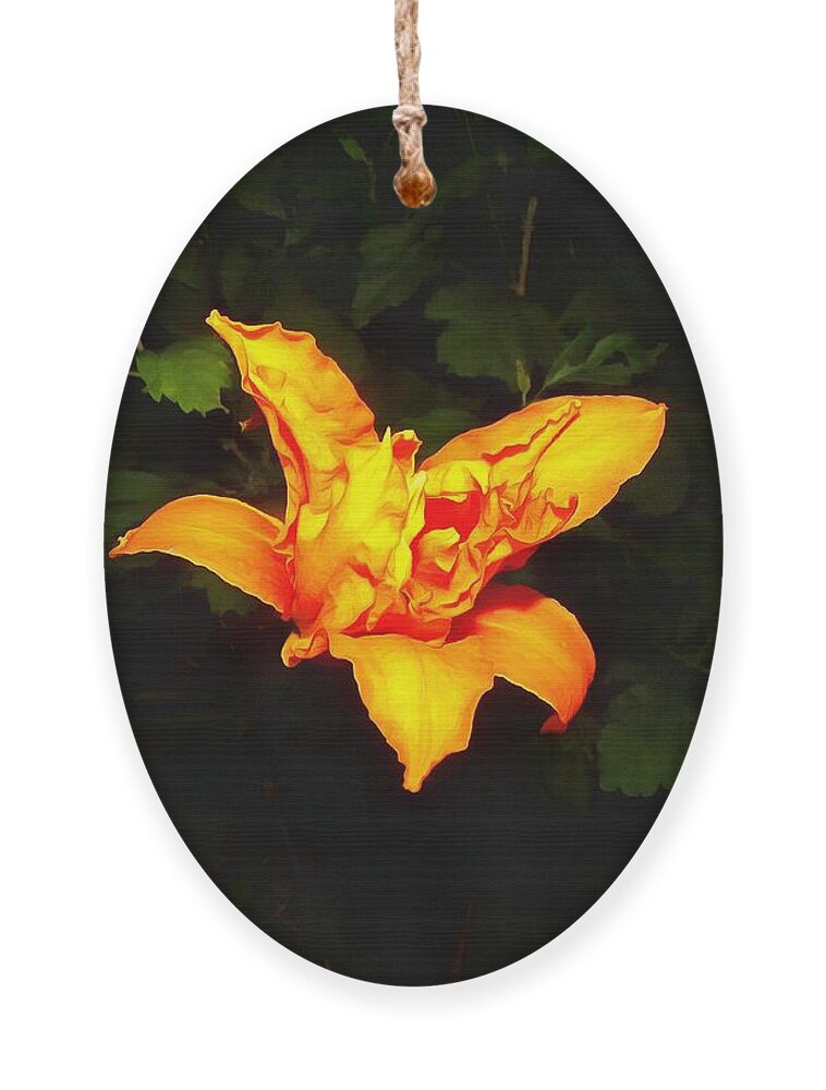 Daylily Ornament featuring the photograph Daylily at Night by Christopher Reed