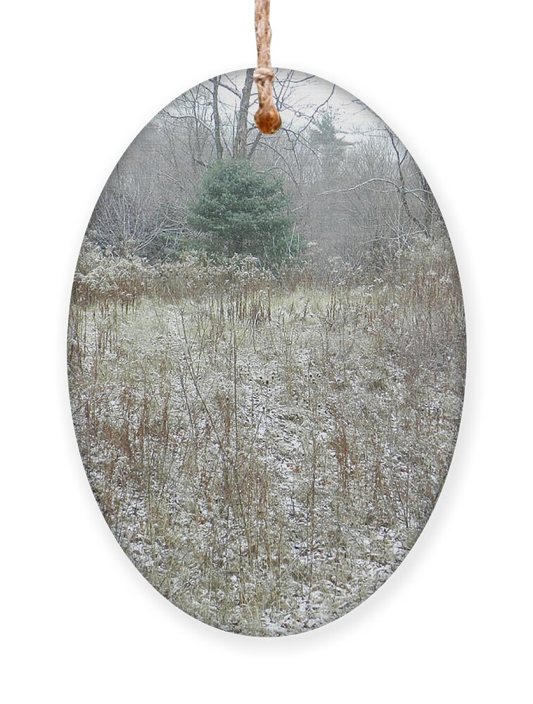 Snow Ornament featuring the photograph December Snow on the Meadow with round pine tree, Saratoga County, NY by Lise Winne
