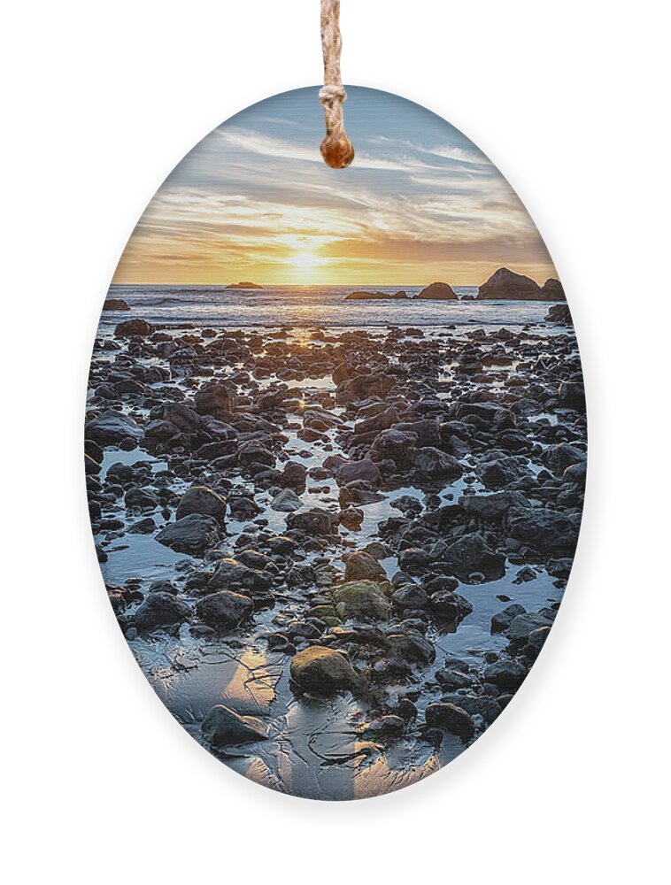 Beach Ornament featuring the photograph DeMartin Beach by Rudy Wilms