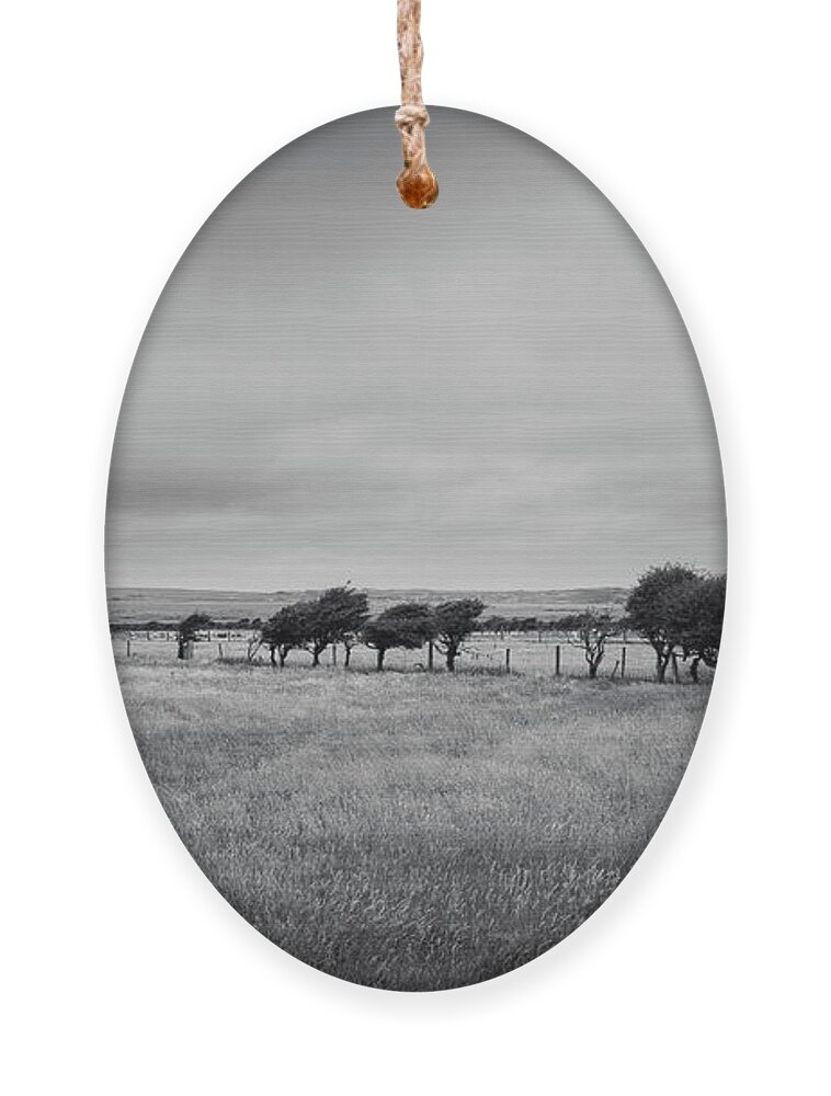 #dark Ornament featuring the photograph Derrymore Lineup by Mark Callanan