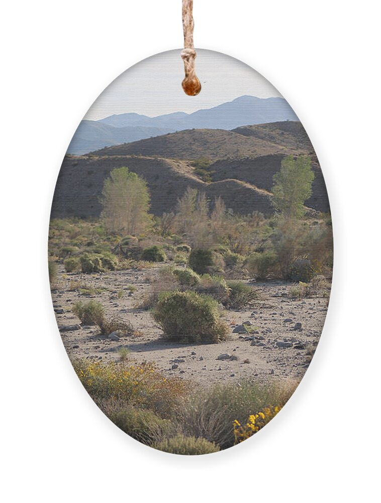 Desert Oasis Ornament featuring the photograph Desert Scene 4 Coachella Valley Wildlife Preserve by Colleen Cornelius
