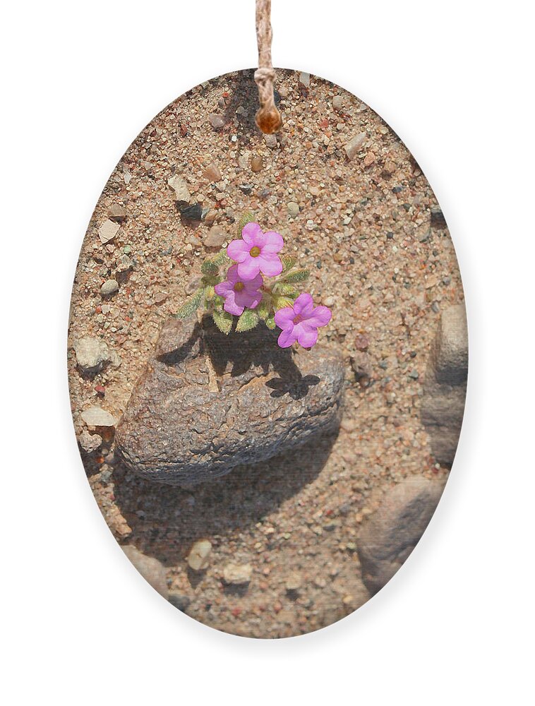 Flower Ornament featuring the digital art Dessert Beauty Pink Flowers And Rocks Of The Valley by Irina Sztukowski