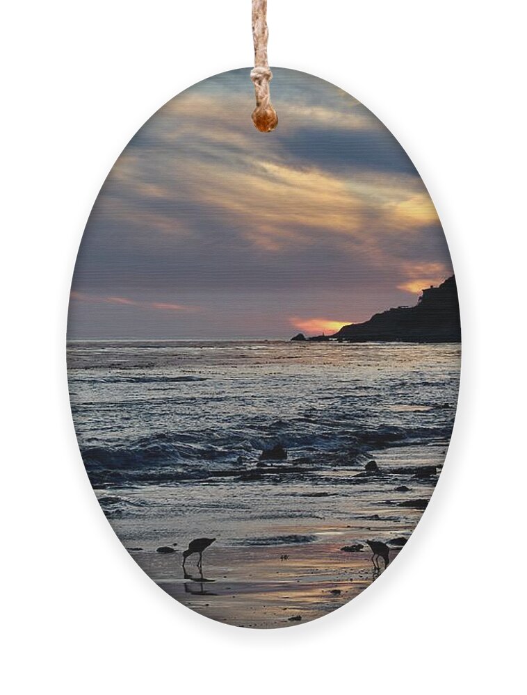 Birds Ornament featuring the photograph Dinner Time on the Shore by Katherine Erickson