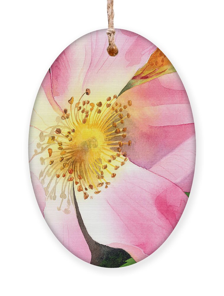 Rose Ornament featuring the painting Dog Rose by Espero Art