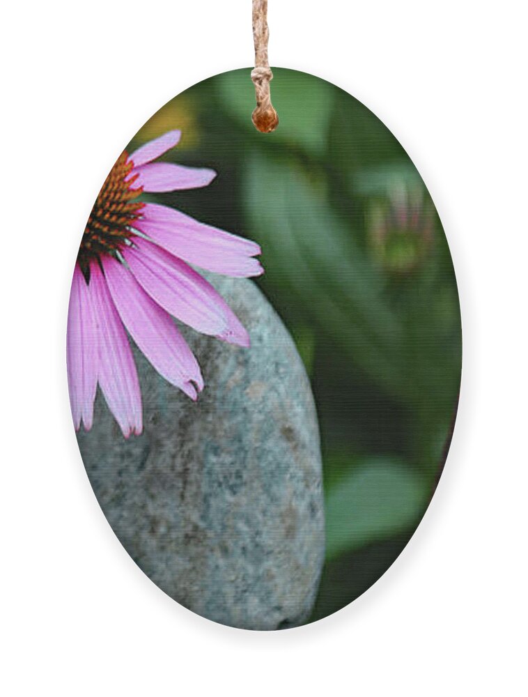 Honey Bee Ornament featuring the photograph Doing HIS JOB by Imagery-at- Work