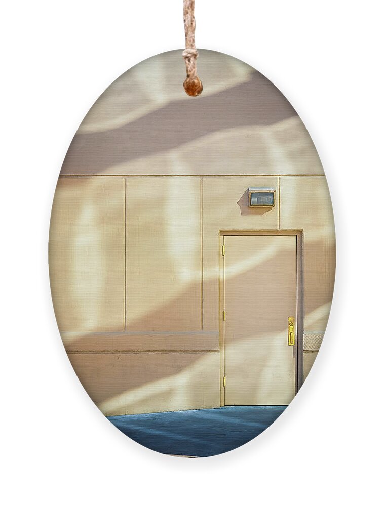 Doors Ornament featuring the photograph Door Light by Craig J Satterlee