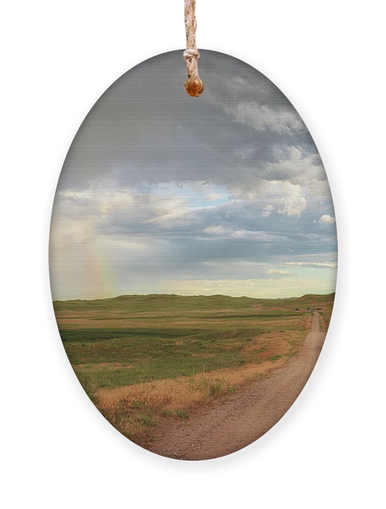 Nebraska Ornament featuring the photograph Double Rainbow - Sandhills Journey by Susan Rissi Tregoning