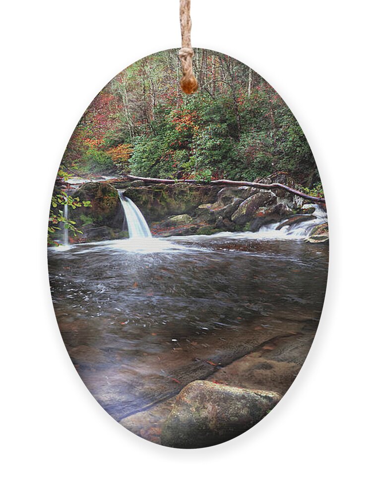 Waterfalls Ornament featuring the photograph Double Trouble by Rick Lipscomb