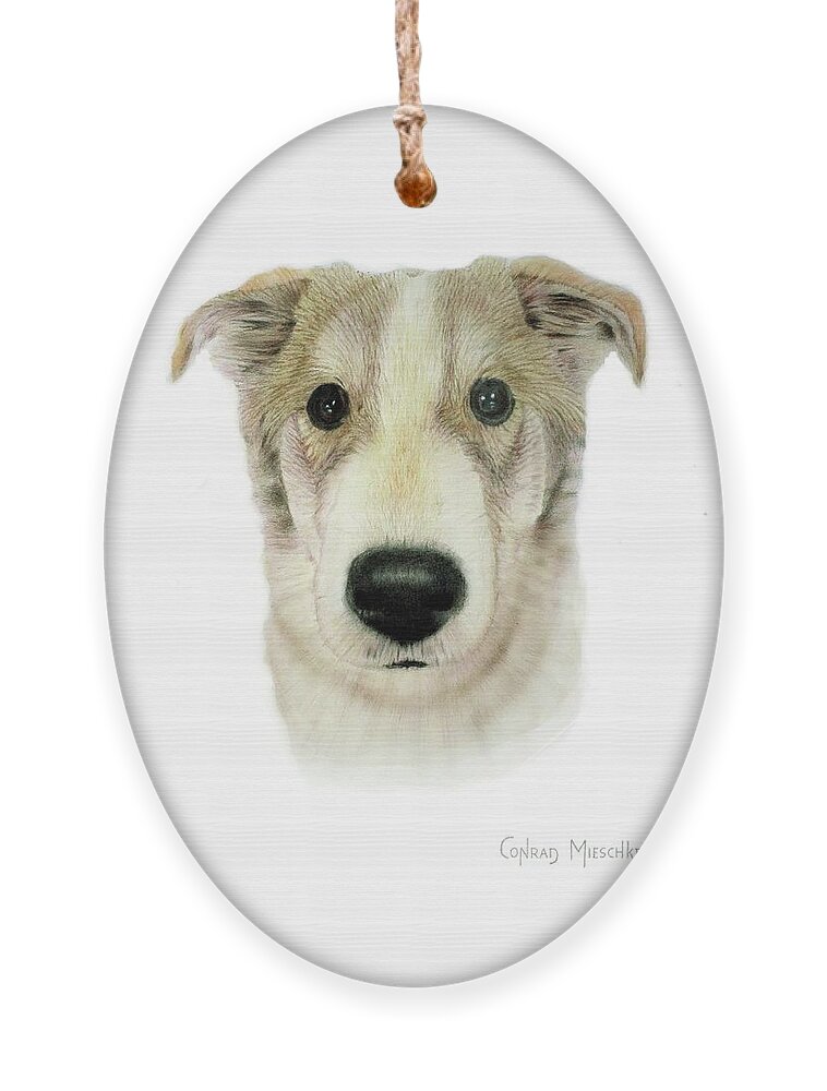 Dog Ornament featuring the drawing Douglas by Conrad Mieschke