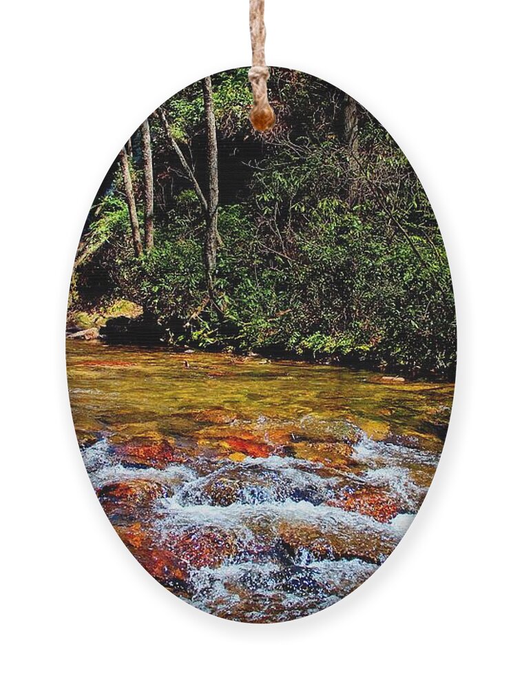 Waterfall Ornament featuring the photograph Down By the River by Allen Nice-Webb