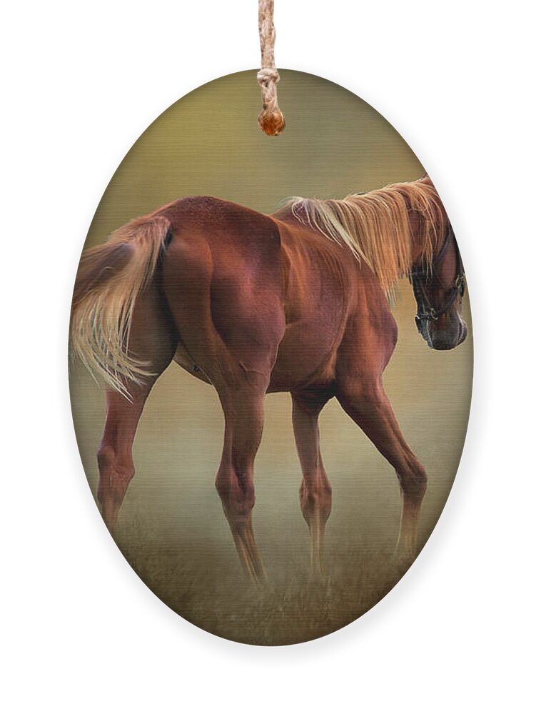 Horse Ornament featuring the photograph Dream Horse by Shelia Hunt