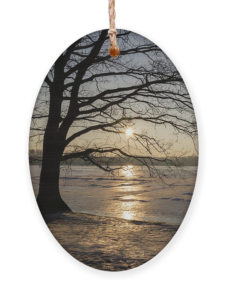 Dreamy Ornament featuring the photograph Winter sunset at Moritzburg Castle 1 by Adriana Mueller