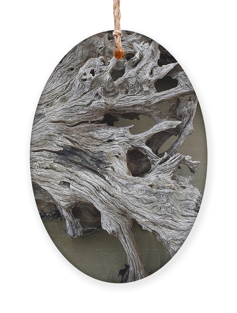 Driftwood Beach Ornament featuring the photograph Driftwood Beach Abstract Square     by Ron Long