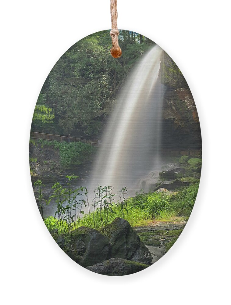 Dry Falls Ornament featuring the photograph Dry Falls Not So Dry by Rick Nelson
