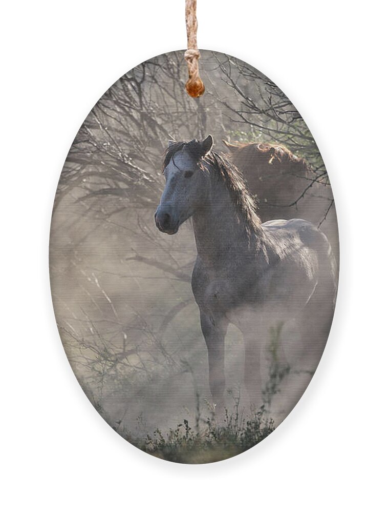 Stallion Ornament featuring the photograph Dust Rays by Shannon Hastings