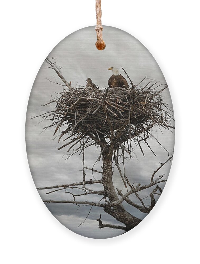 Bald Eagle Ornament featuring the photograph Eagles Nest by Craig J Satterlee