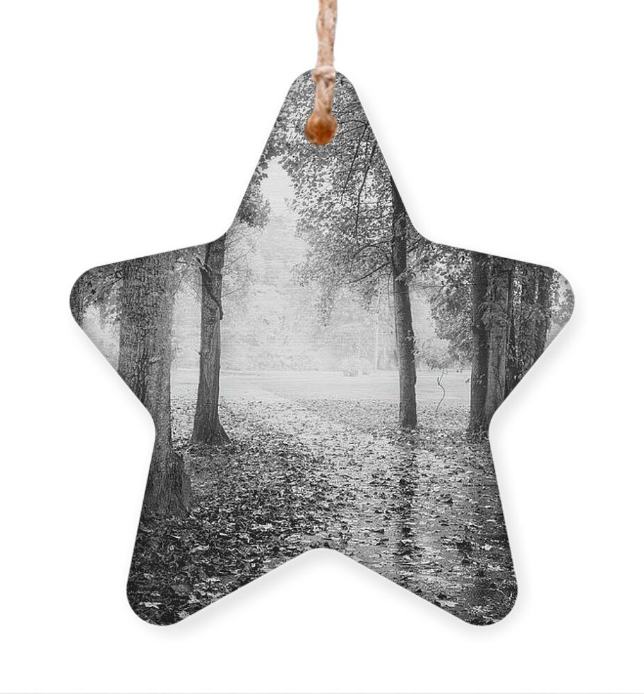 Carolina Ornament featuring the photograph Early Morning Walk Black and White by Debra and Dave Vanderlaan
