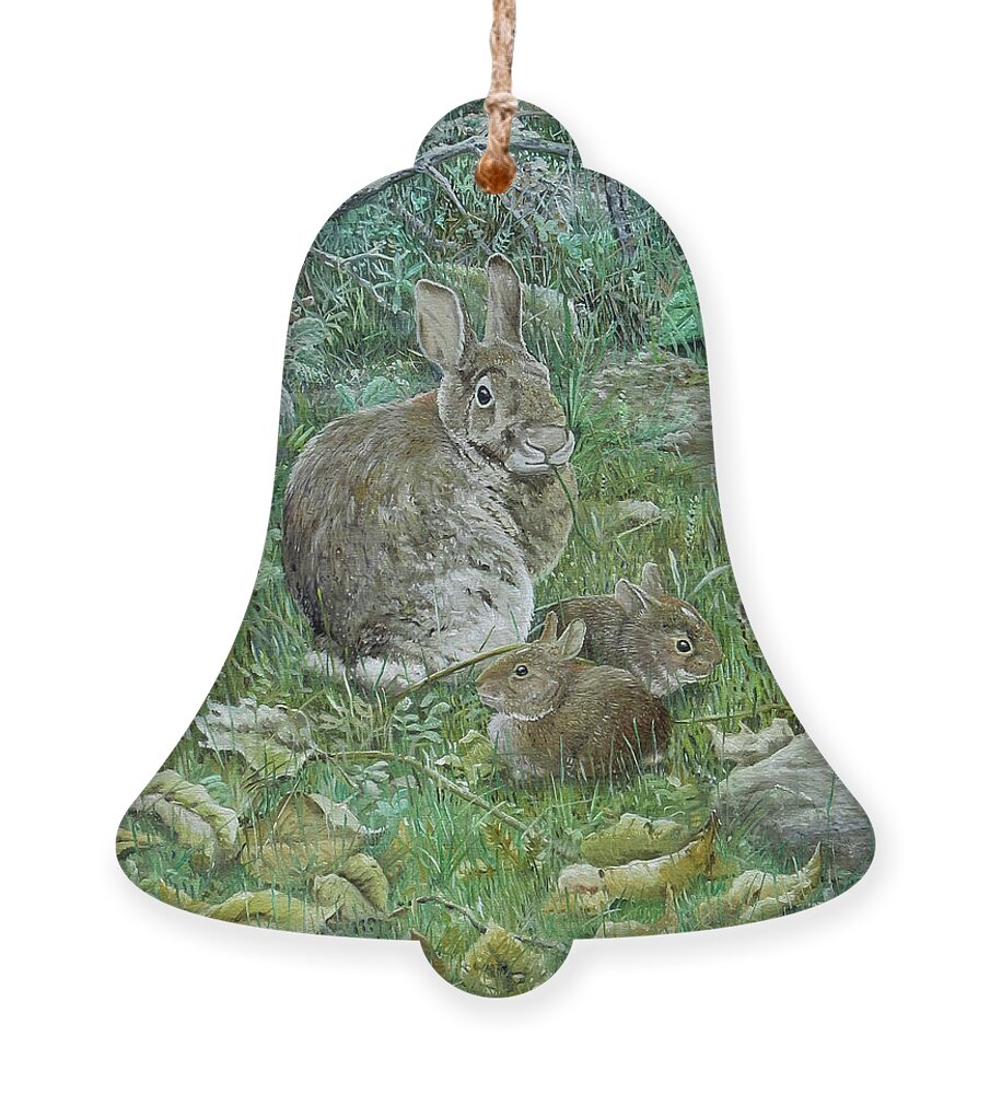 Eastern Cottontail Ornament featuring the painting Eastern Cottontails by Barry Kent MacKay