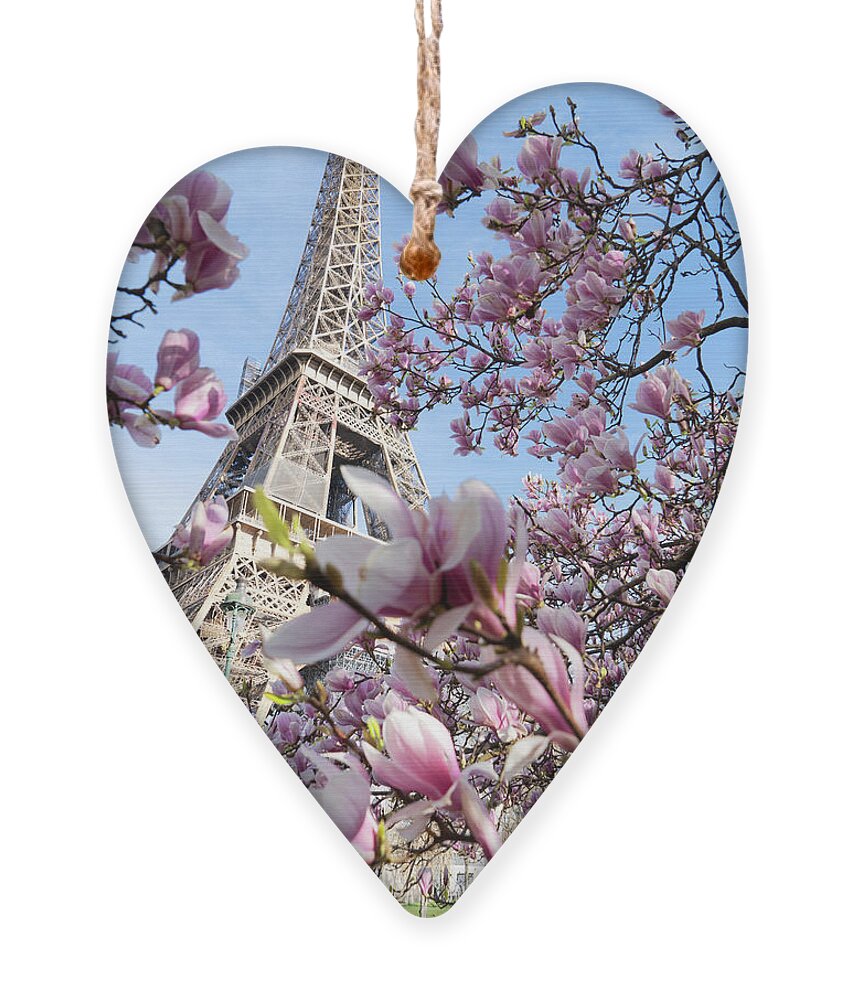 Eiffel Ornament featuring the photograph Eiffel Tour and Magnolia by Anastasy Yarmolovich