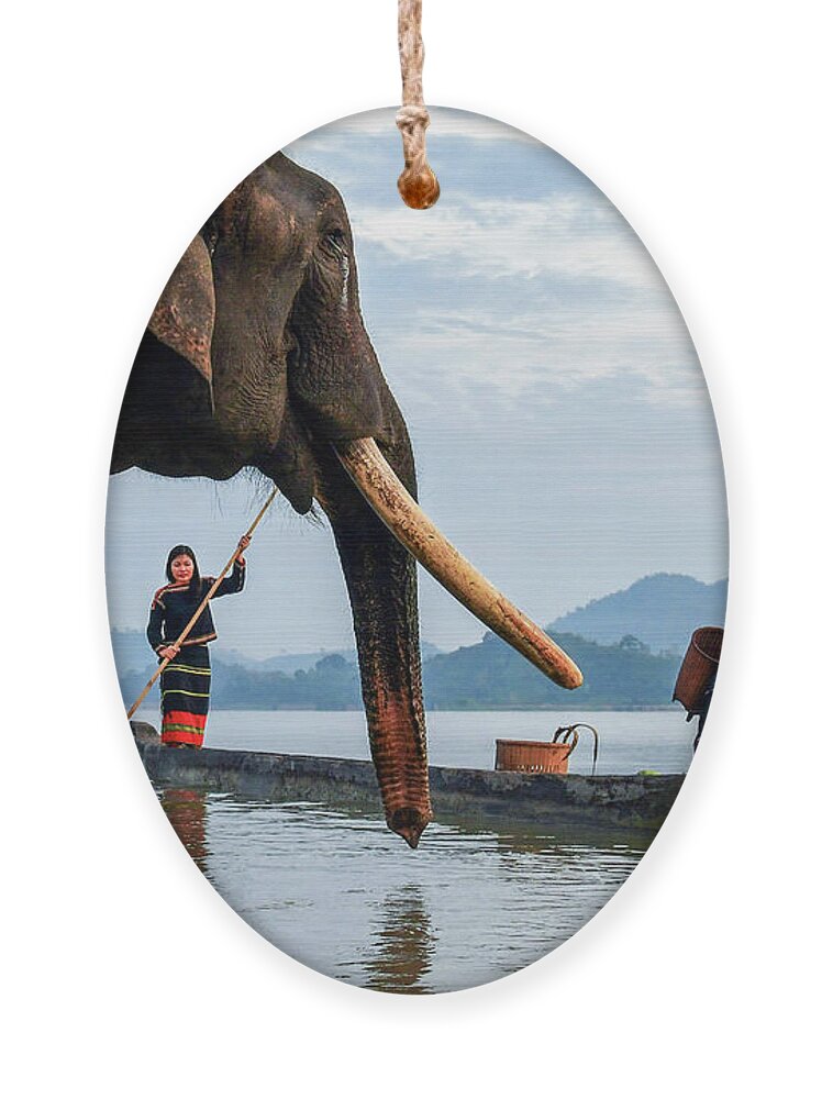 Awesome Ornament featuring the photograph Elephant And Life by Khanh Bui Phu