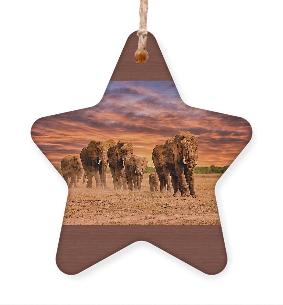  Elephants Ornament featuring the photograph 	Elephants in the Serengeti at Sunset by Mitchell R Grosky