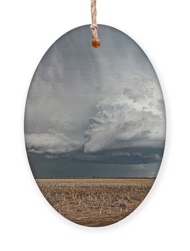 Storm Ornament featuring the photograph Evening Harvest by Marcus Hustedde