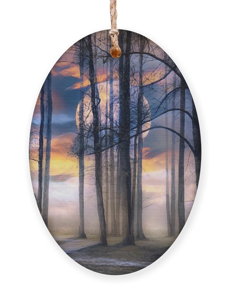 Trail Ornament featuring the photograph Evening Mystery by Debra and Dave Vanderlaan