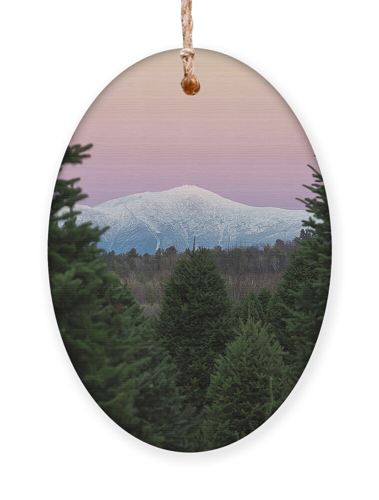 Evergreen Ornament featuring the photograph Evergreen Winter Washington Sunset by White Mountain Images
