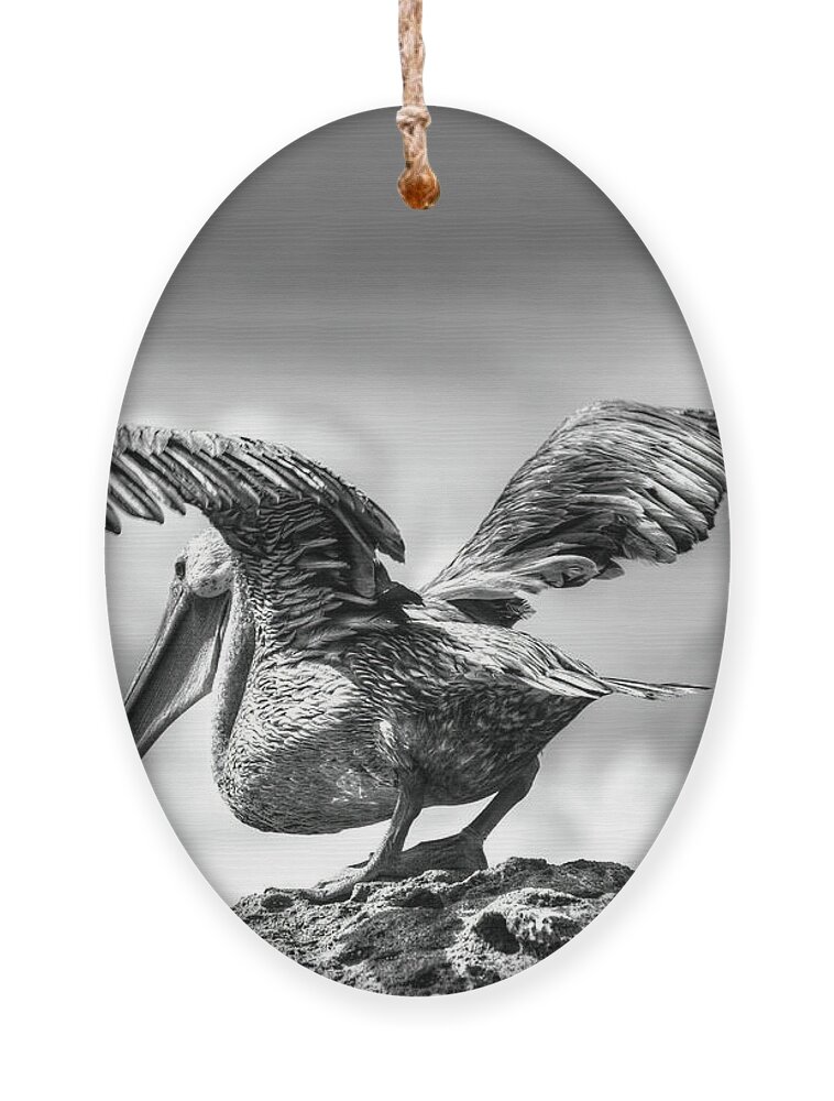 Black And White Ornament featuring the photograph Expecting to Fly by Joe Schofield