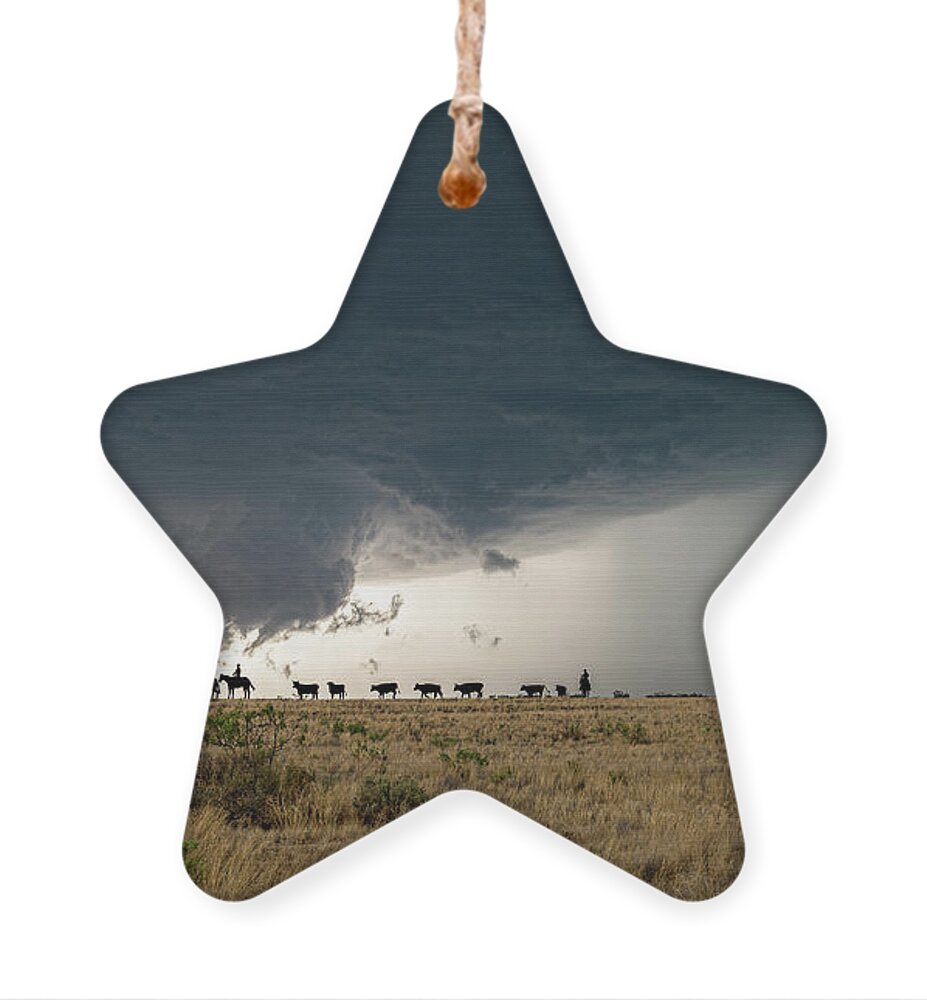 Cowboys Ornament featuring the photograph Explorers by Marcus Hustedde