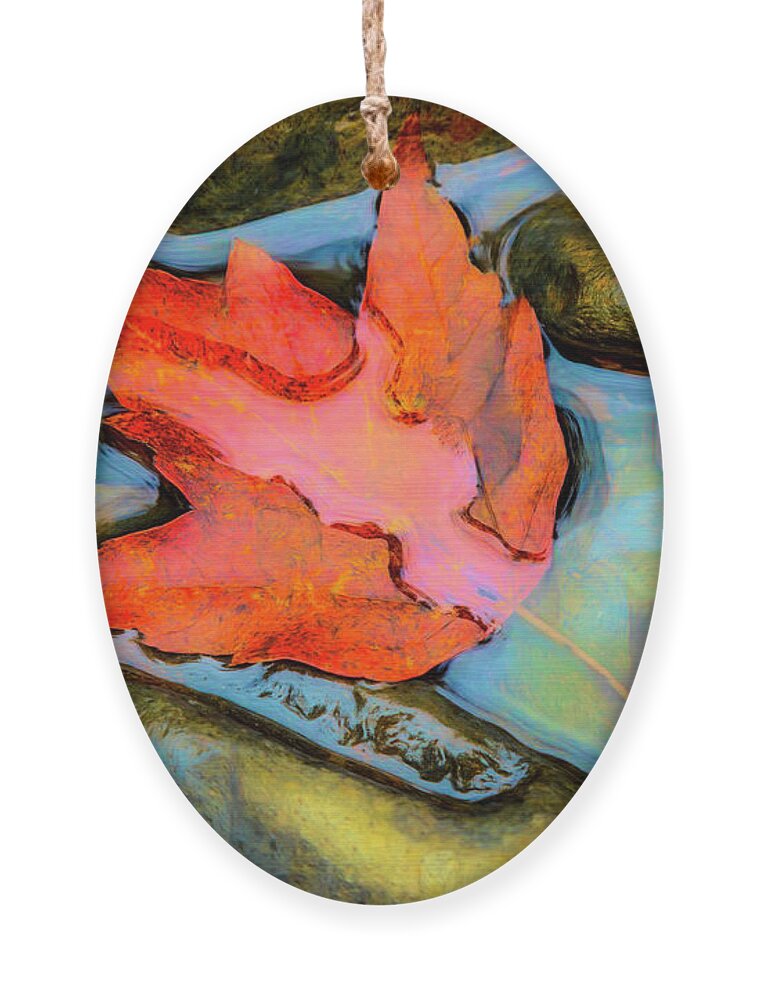 Carolina Ornament featuring the photograph Fall Float Painting by Debra and Dave Vanderlaan