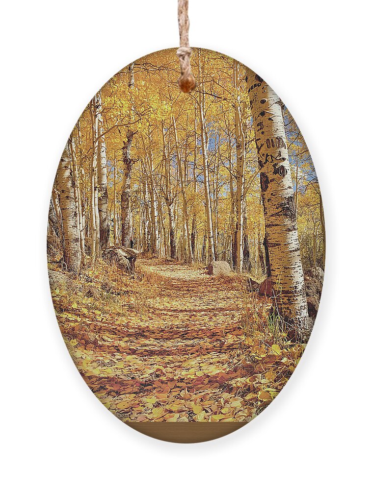 Autumn Ornament featuring the photograph Fall In Love by Rebecca Herranen