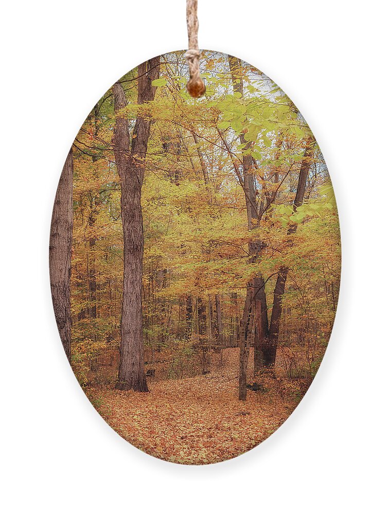 Trail Of Twelve Stones Ornament featuring the photograph Fall on the Trail of 12 Stones by Susan Rissi Tregoning