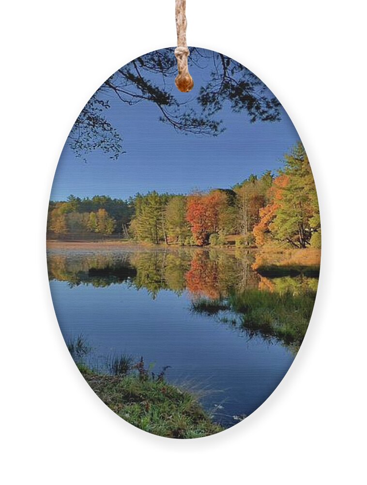  Ornament featuring the photograph Fall - Price Lake by Meta Gatschenberger