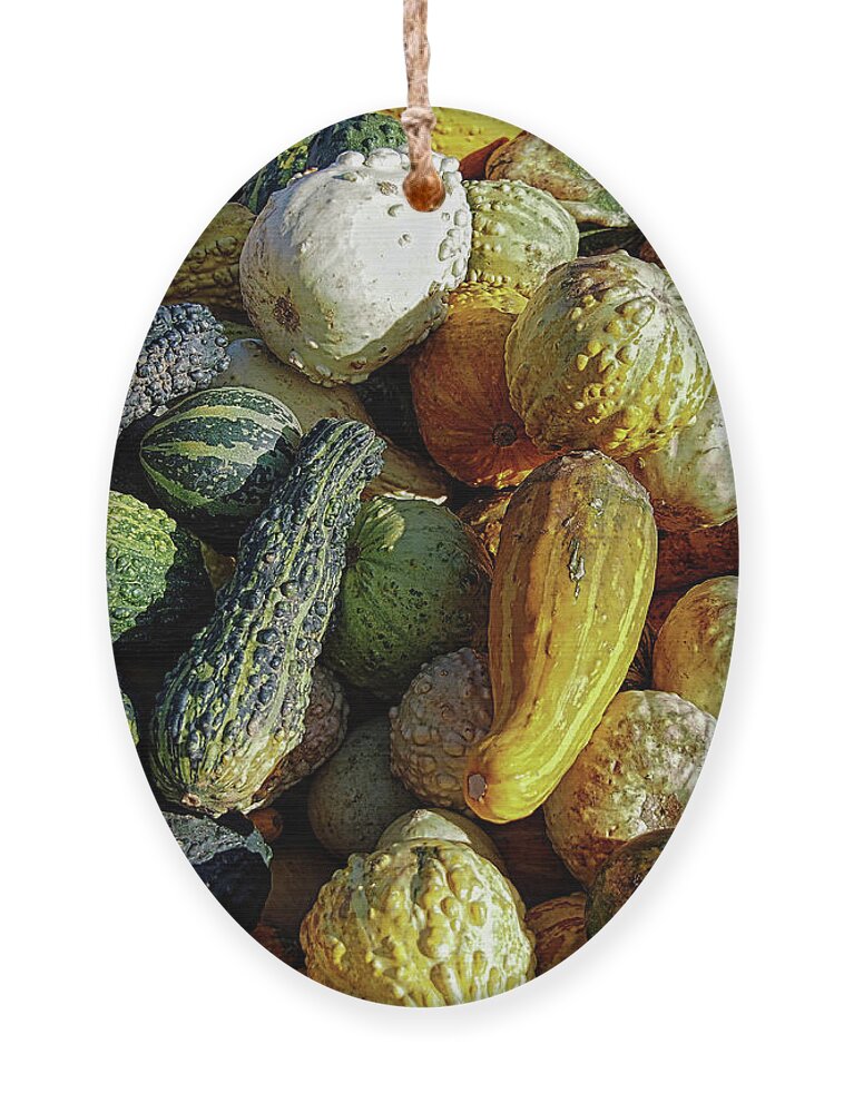 Fall Ornament featuring the photograph Fall Squash by Scott Olsen