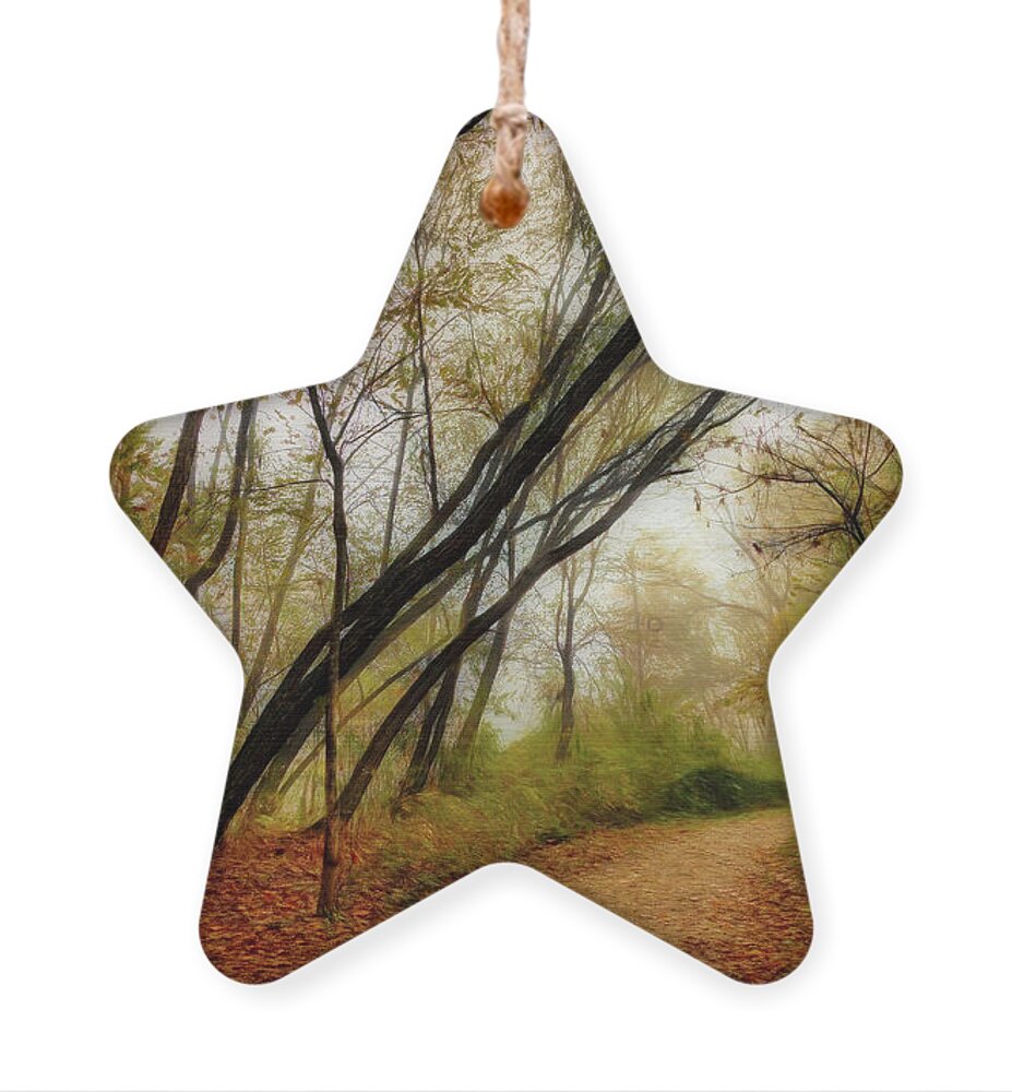 Carolina Ornament featuring the photograph Fallen Leaves Painting by Debra and Dave Vanderlaan